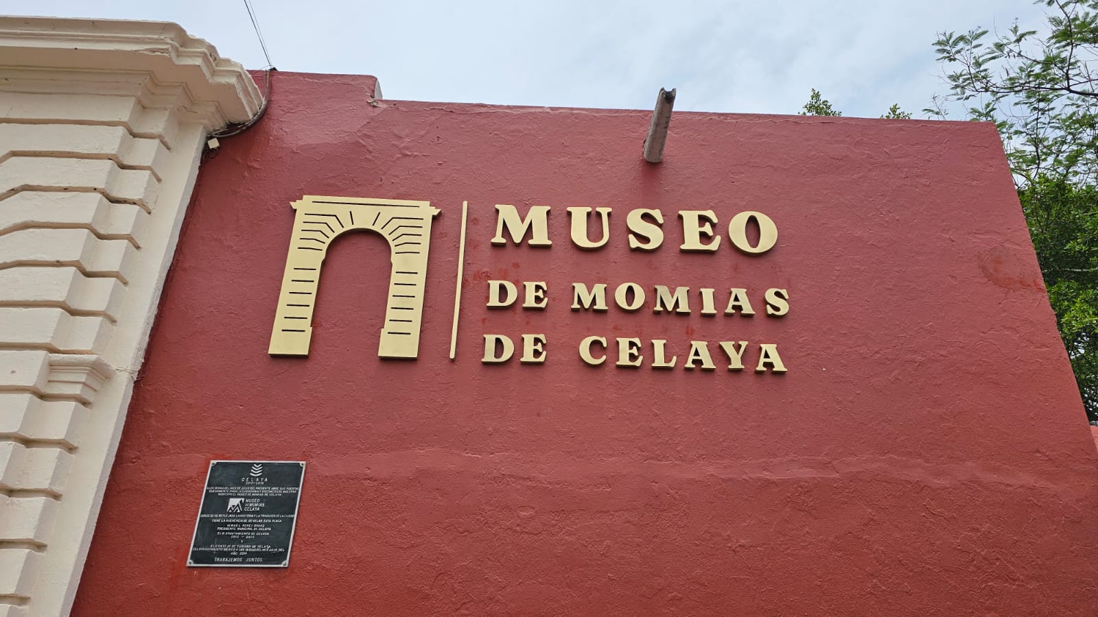 Renovation of the Celaya Mummy Museum Boosts Local…