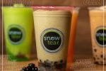 Snowtea Celaya