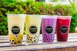 Snowtea Celaya